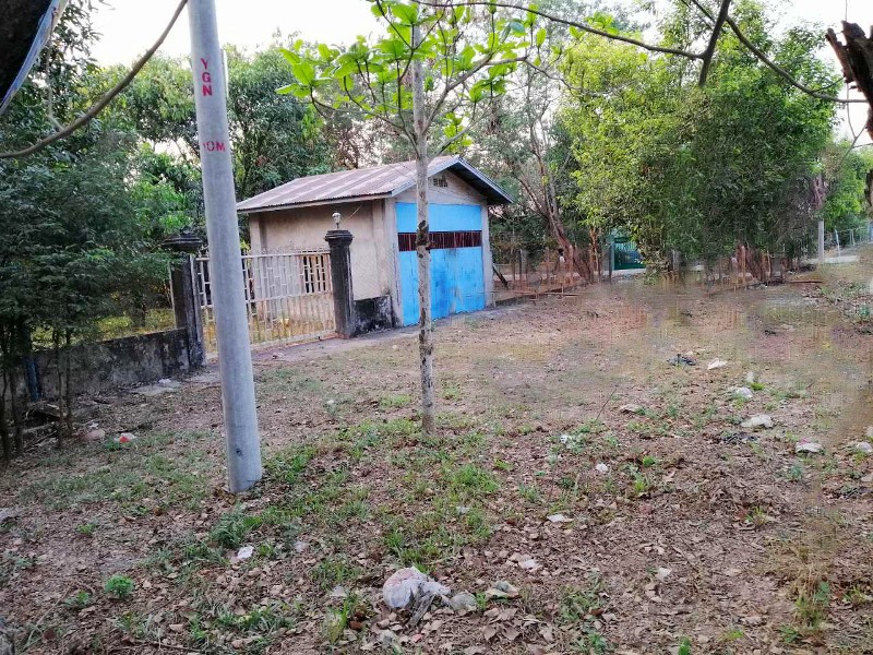 Gallery for Land For Rent In Phwin Phyo Yae Road,Thanlyin Township.