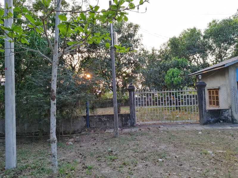 Gallery for Land For Rent In Phwin Phyo Yae Road,Thanlyin Township.