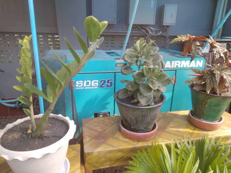 Gallery for House For Sale In Than Lwin Street,Bahan Township.