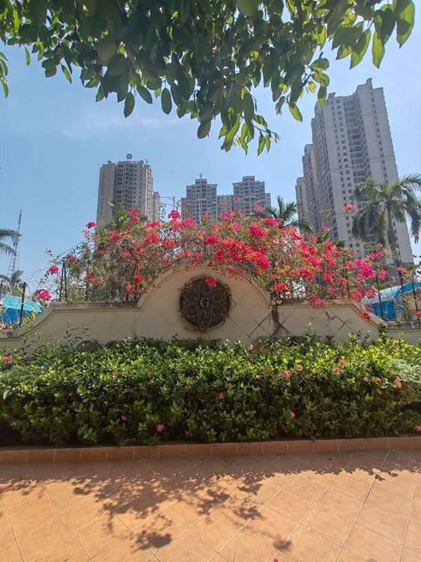 Gallery for Condo For Rent Golden City Condo,Yankin Township.