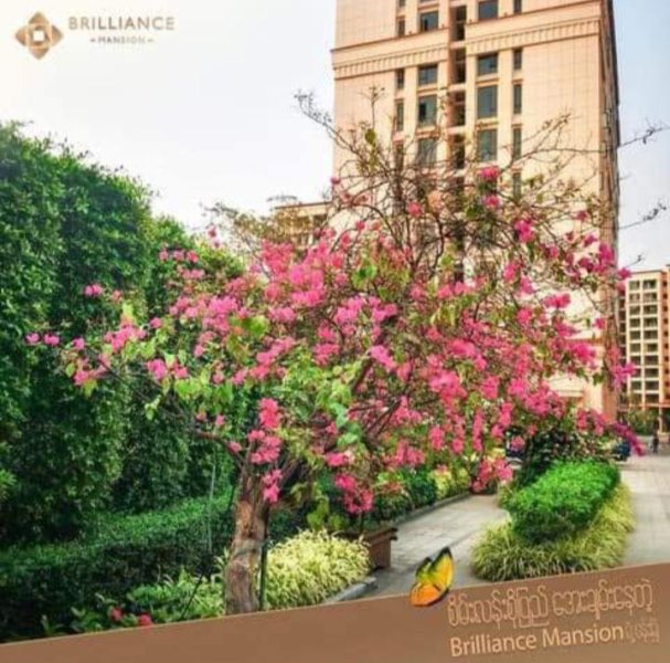 Gallery for Condo For Sale Brilliance Mansion Condo,Lanmadaw Township.