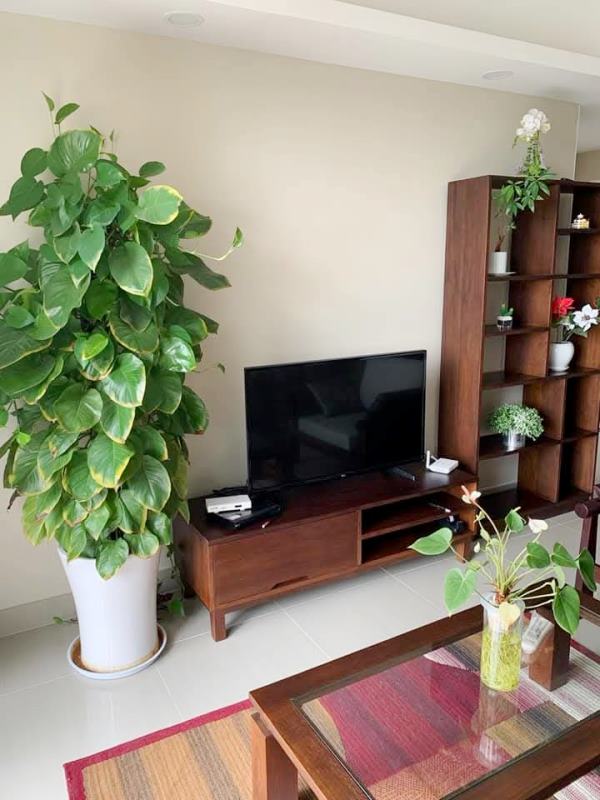 Gallery for Condo For Sale Star City Condo,Thanlyin Township.